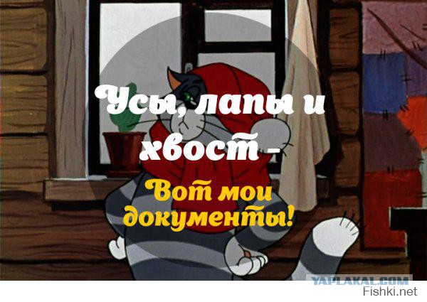Активиста "СтопХам" в Петрозаводске задержала полиция