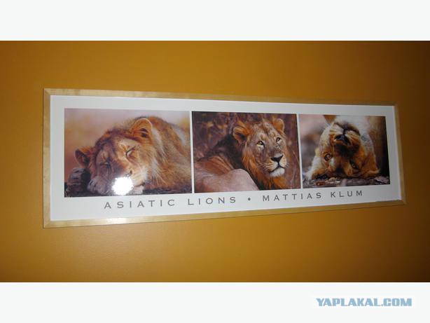 История одной фотографии