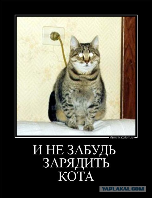 История о том, как студент за день 12 000 долларов заработал