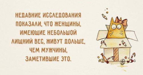 Анекдоты. Фразы