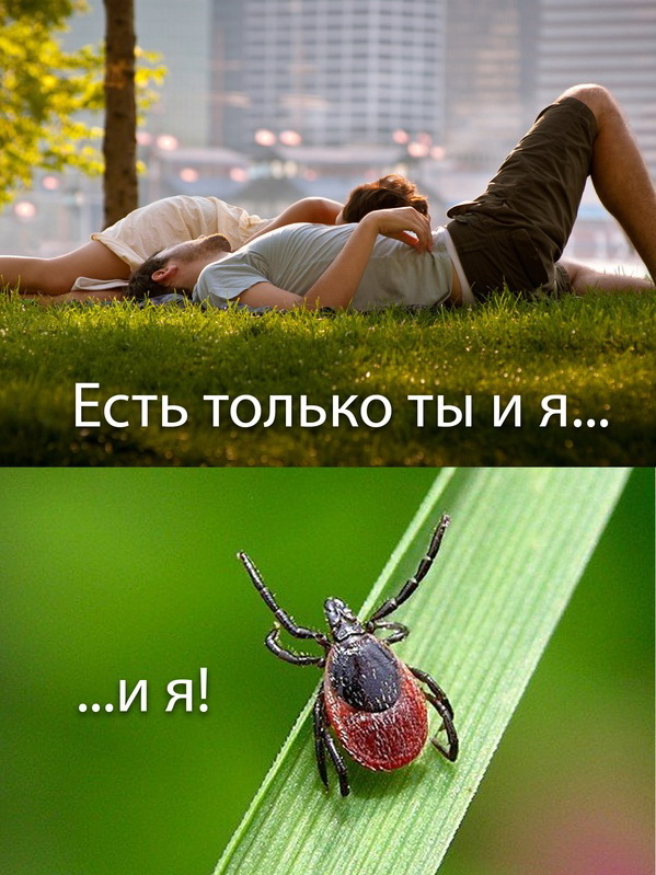 Вело-ПВД на майские праздники.