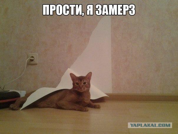 Картинки разные.