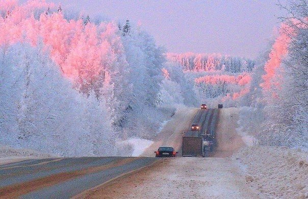 Разное картинки и т.д