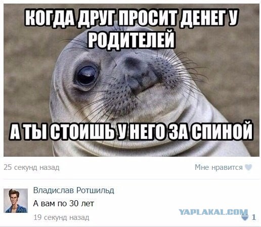 Смешные картинки с надписями