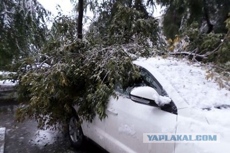 В Абакане снег, а как у вас погода, дорогие ЯПовчане?