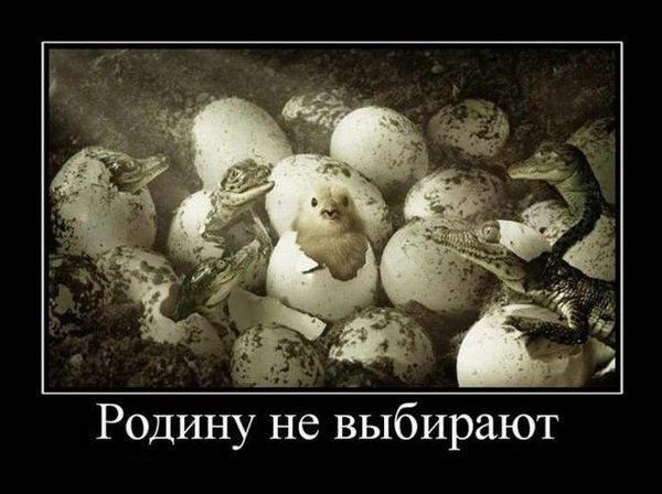 Немножко картинок с буквами, типа демотиваторы