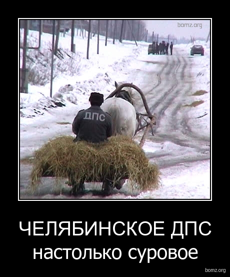 Подборка интересных и веселых картинок