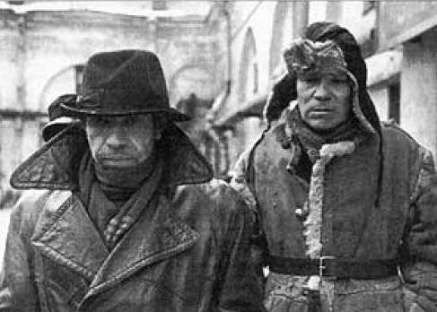 Россиян обяжут регистрировать домашних питомцев под угрозой штрафов