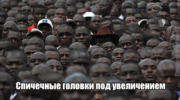 Правдивые факты, о которых мы не знали