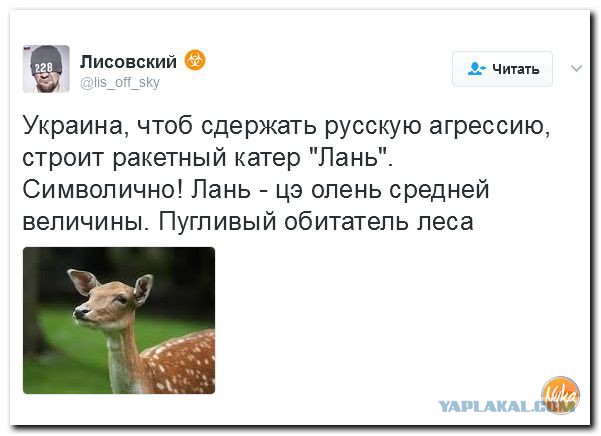 Смешная политота для среды