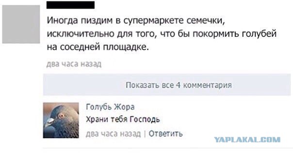 Подборка картинок