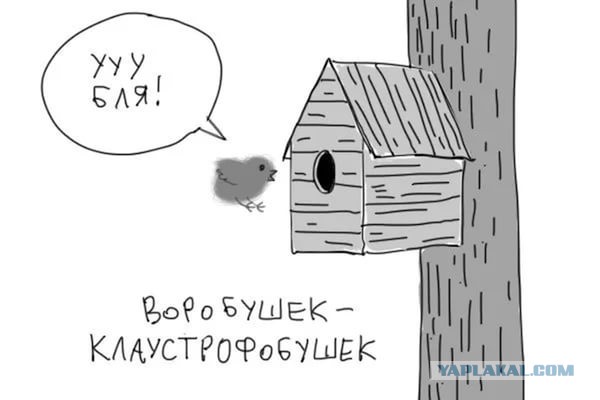 О чем иногда говорят женщины в сети