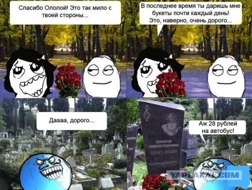 Сбор аморалов Япа объявляется открытым