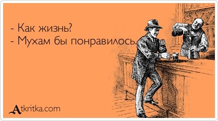 Просто веселые картинки. Иногда абсурдные, а иногда и с черным юмором