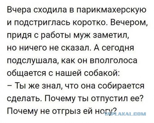 Забавные комментарии, шутки и фразы из этих ваших интернетов