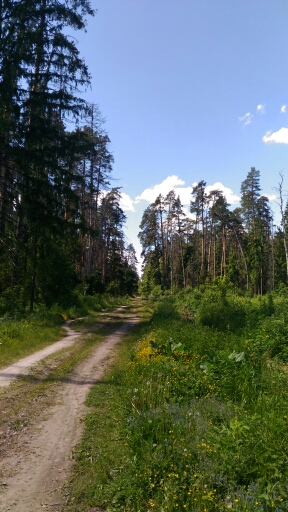 Нашего полку прибыло!