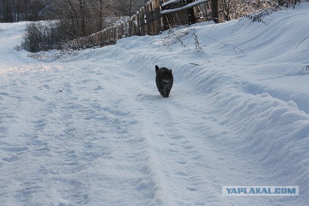 Очарование российской глубинки