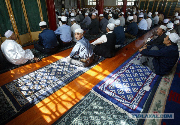 Полиция в Китае запретила мусульманам хранить Коран и молитвенные коврики