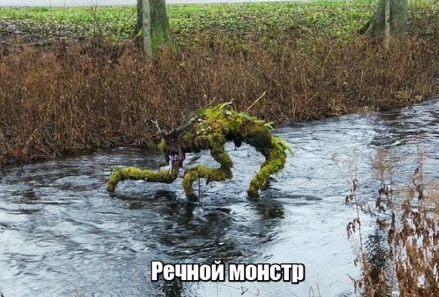 Временный пост. Всякое-разное