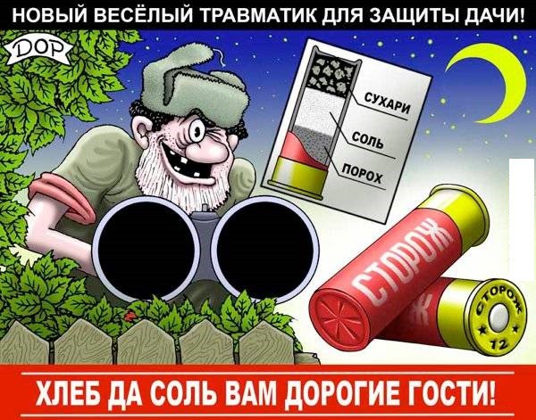 Немного разных картинок