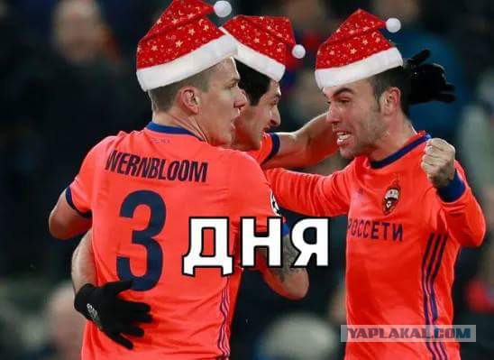 Беседка ФиС ЯПа 2
