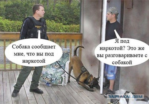 Нестандартный юмор