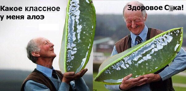 Подборка картинок