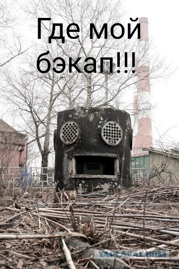 Да что тут вообще происходит?