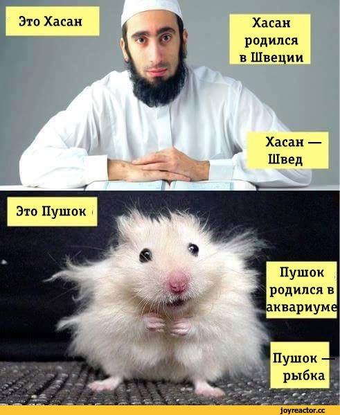 Ни разу не болгарин и не румын: настоящая национальность Киркорова