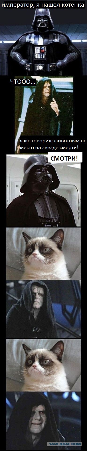 Grumpy Cat умерла