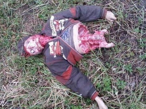 Привязал собак к машине: в Самаре разразился скандал из-за смерти двух псов