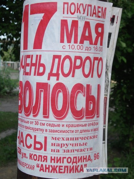 Казусы моего города. Часть первая