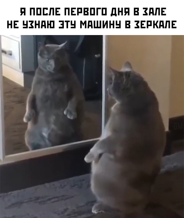 Немного картинок для настроения 23.01.20