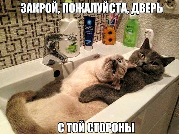 Немного картинок для настроения 20.04.20