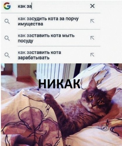 Немного картинок для настроения 25.06.20