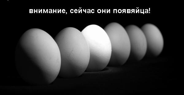 Фотожаба на пятницу