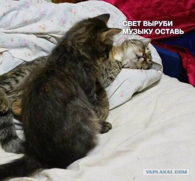 Баянисто-небаянистый юмор. 7.10.20.