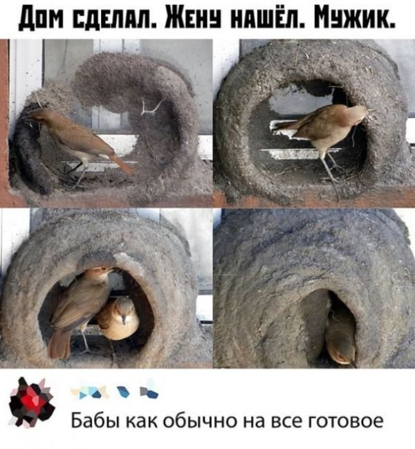 Прикольные и просто красивые картинки 19.11.2020