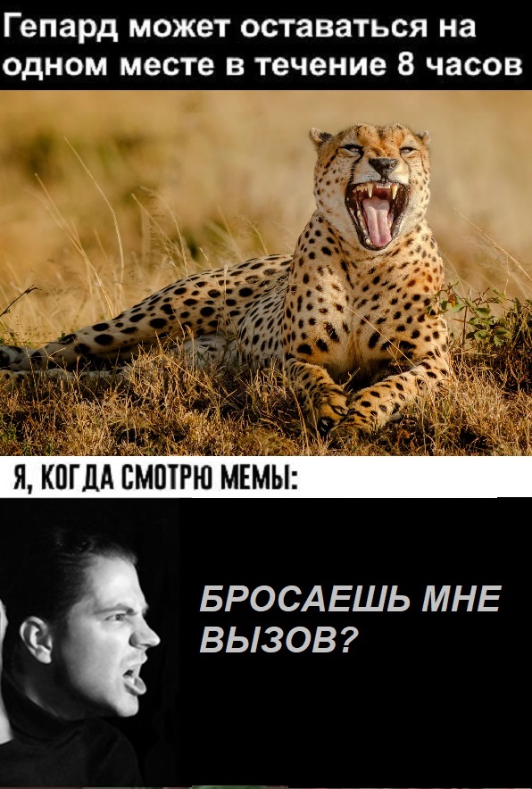 Картинки с надписями и всякие жизненные фразы 10.1.21
