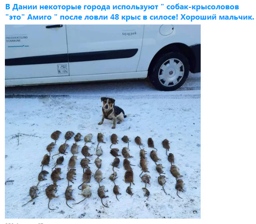Фото-винегрет-3. Картинки ниапчём и обо всём