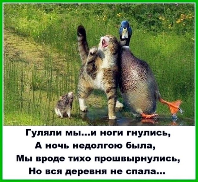 Женщина, соглашаясь лечь с мужчиной, дает согласие на зачатие и рождение ребенка