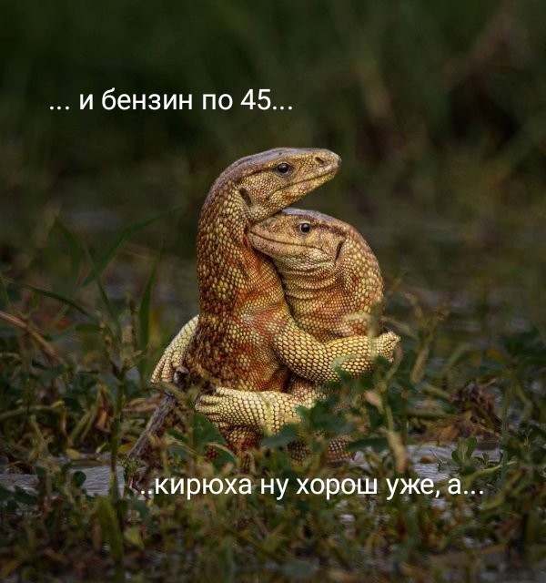 Прикольные и просто красивые картинки 09.05.2021
