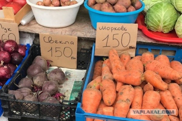 Москвичей возмутила продажа моркови по цене ананасов