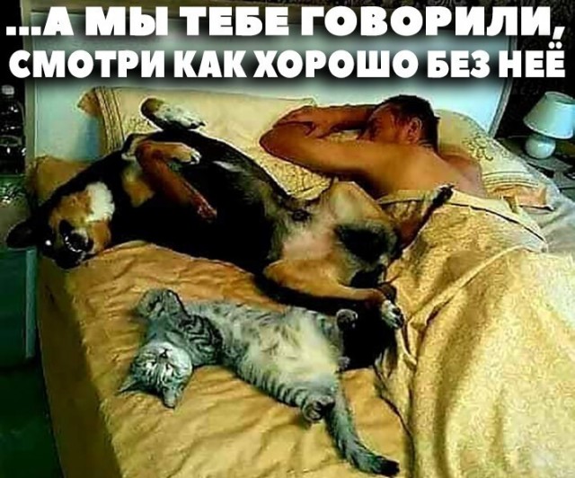 Так себе картинки 27.08.21