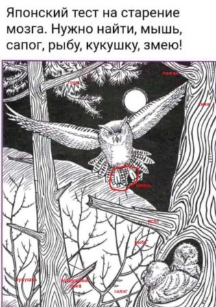 Бредзона 10.10.2021