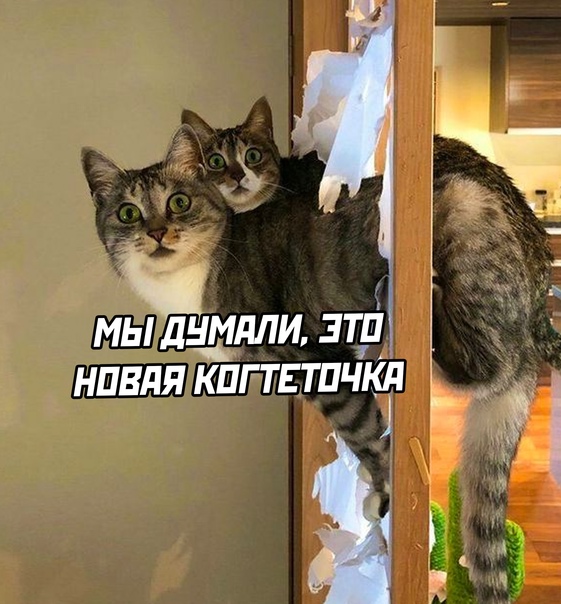 Так себе картинки 12.11.21