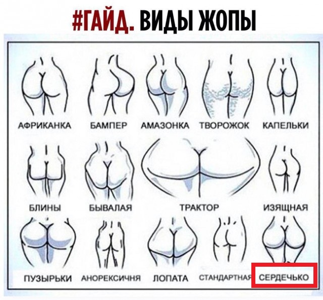 Всяческие картинки 15.12.2021