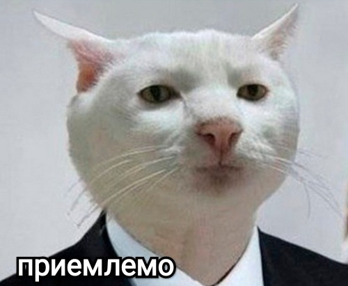 Половину Вашего дохода забирает государство