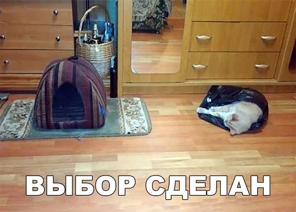 Так себе картинки 30.01.22