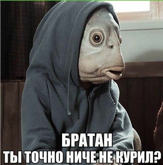 Почему Армия РФ проводит на Украине спецоперацию без спешки?